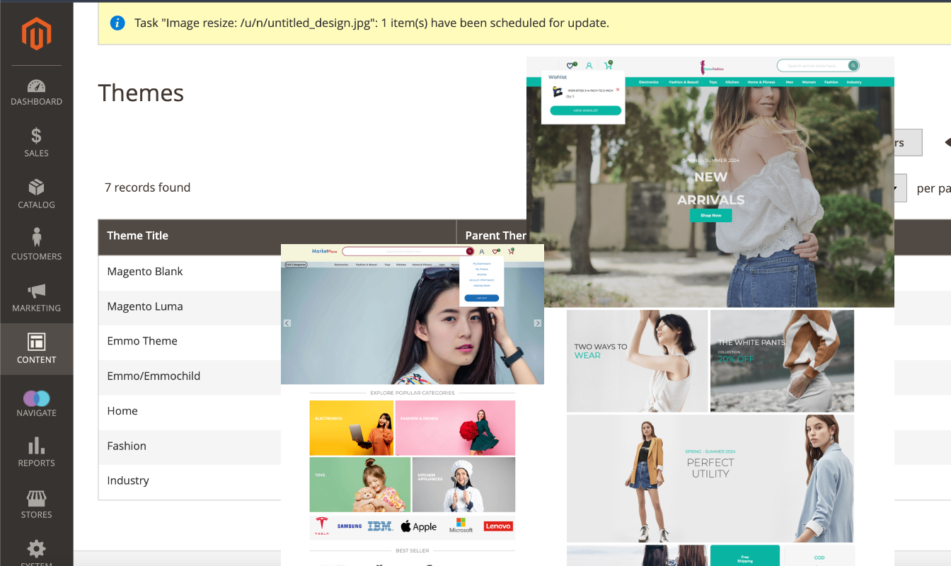 Popular Magento Theme